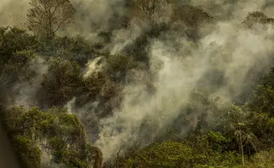 Crise climática pode provocar nova extinção em massa, diz pesquisador