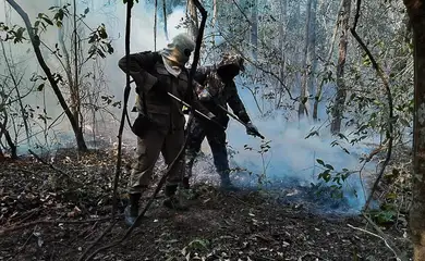 Dois estados decretam emergência em razão de incêndios no Pantanal
