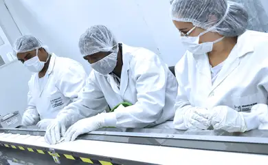 Produção científica cai 7% em 2023 e volta ao patamar pré-pandemia