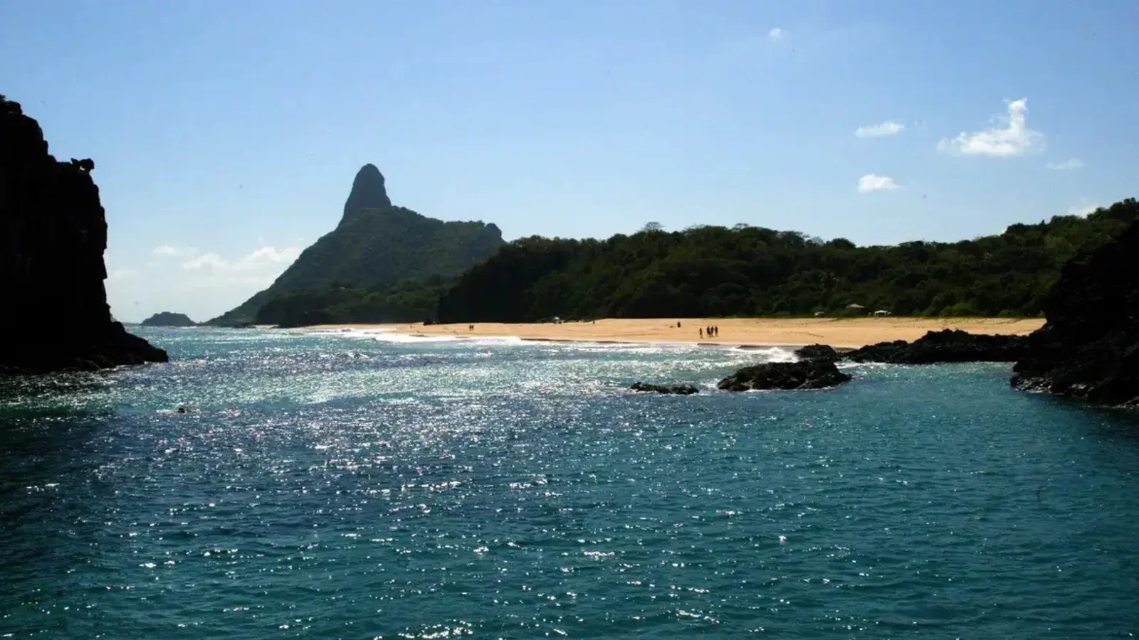 Ilhas brasileiras: estudo revela presença de espécies exclusivas