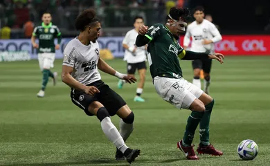 Tentando retomar caminho das vitórias, líder Botafogo recebe Palmeiras