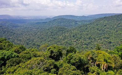 Amazônia é um dos focos da ONU para a Agenda 2030