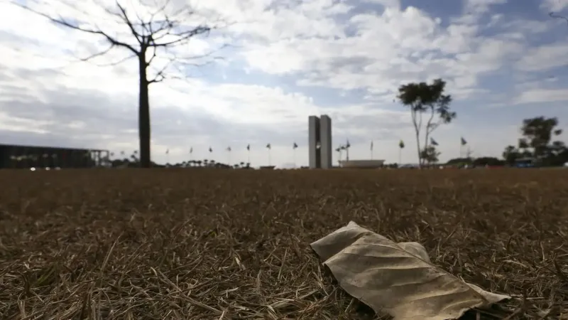 Aquecimento além de 1,5°C ameaça saúde, agricultura e economia