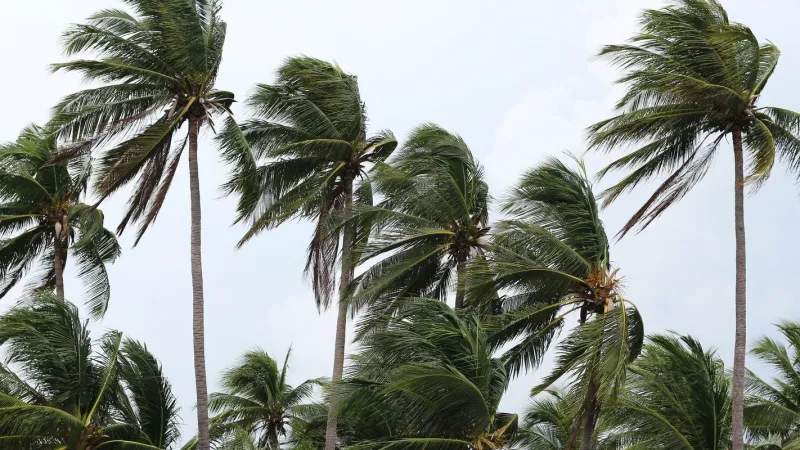 Ventos provocam danos na Costa Verde e na região serrana do RJ
