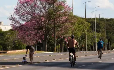 Dois terços dos brasileiros moram em ruas arborizadas