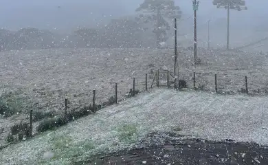Rio Grande do Sul registra neve em algumas localidades