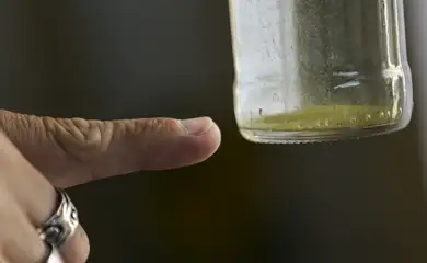 Chega a 27 o número de mortes por dengue no estado de SP