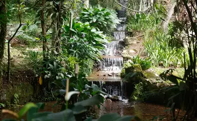 Sistema de água com mais de 200 anos abastece Jardim Botânico do Rio