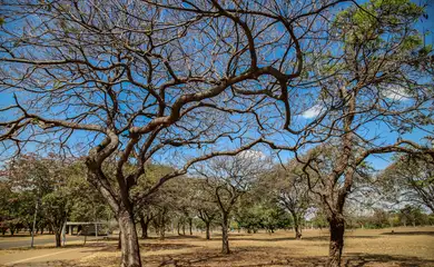 Inmet alerta sobre baixa umidade no Centro-Oeste e no Tocantins