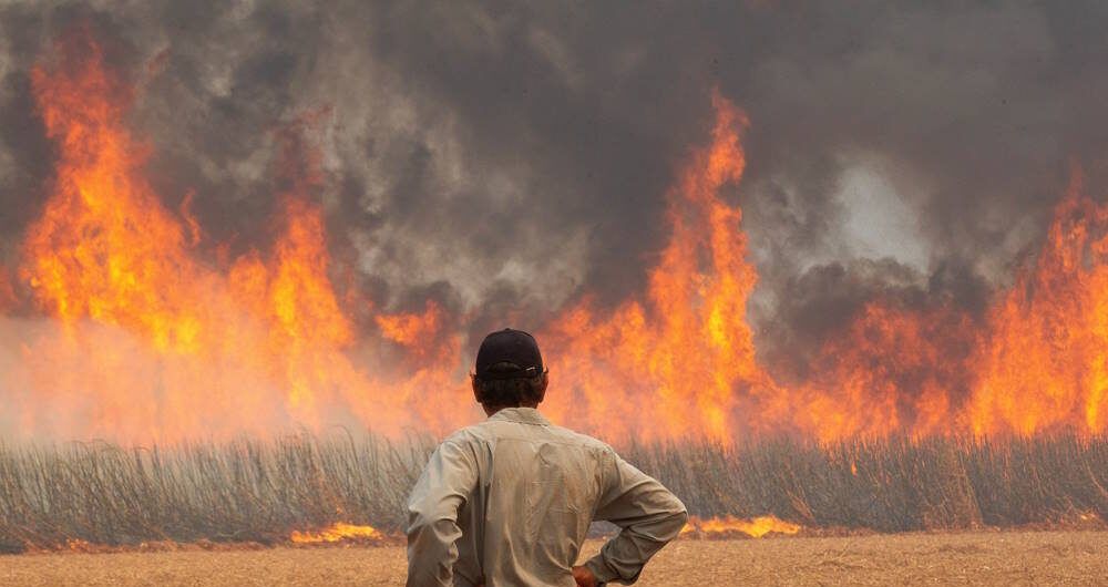 Quem são e o que fizeram os presos suspeitos por incêndios intencionais no interior de SP