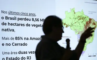Brasil já perdeu 33% das áreas naturais de seu território