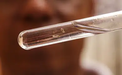 Brasil tem mais de um milhão de casos de dengue este ano