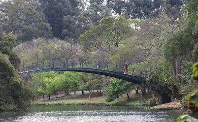 Hoje é Dia: Ibirapuera, Getúlio e Leminski são destaques da semana