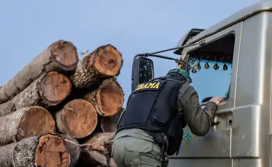 Servidores do Ibama prometem suspender fiscalização ambiental