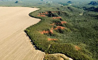 Cerrado: desmatamento emite 135 milhões de toneladas de CO2 desde 2023