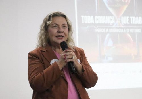 Secdef destaca atuação transversal do Estado no enfrentamento ao trabalho infantil