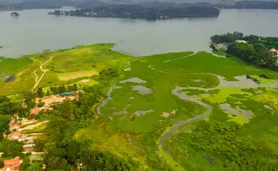 Parque na orla da represa Guarapiranga tem 261 espécies de aves