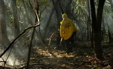 Amazônia tem o maior número de queimadas e incêndios em 17 anos