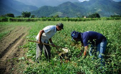 Mapeamento aponta 31 organizações de filantropia independentes no país