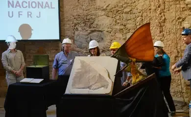 Museu Nacional recebe doação de mais de mil peças