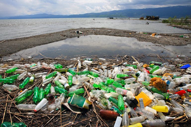 Combate à poluição é tema do Dia Mundial do meio Ambiente