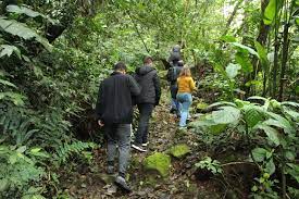 Estudantes de turismo participam de trilha ecológica