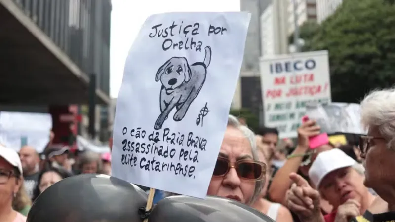 Protestos por morte do cão Orelha mobilizam capitais neste fim de semana