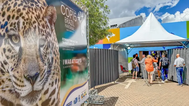 Brasil sedia encontro mundial sobre proteção de espécies migratórias