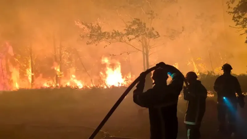 França e Espanha lutam para conter incêndios florestais