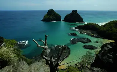 Recifes de Fernando de Noronha são ameaçados por plástico