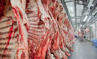Exportação de carne bovina bate recorde em mês anterior ao tarifaço