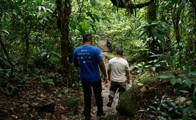 Educação ambiental busca aproximar a população da Mata Atlântica