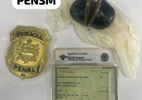 Mulher, com neto, é flagrada por policiais penais ao tentar entrar com drogas
