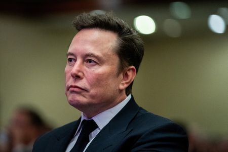 Quanto a fortuna de Elon Musk cresceu em 2024?