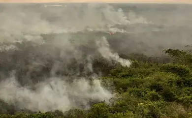 Força Nacional reforça equipe de combate a incêndios no Pantanal