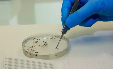 Febre Oropouche tem dez casos confirmados no Rio