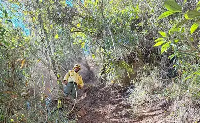 Parque Nacional do Itatiaia retoma visitação pública após incêndio