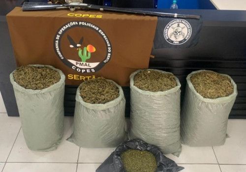 Polícia Militar apreende quase 32kg de maconha no Sertão de Alagoas