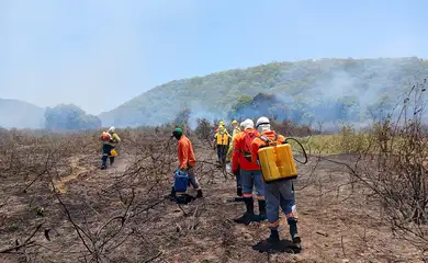 Incêndio no Pantanal está controlado, diz Instituto Homem Pantaneiro