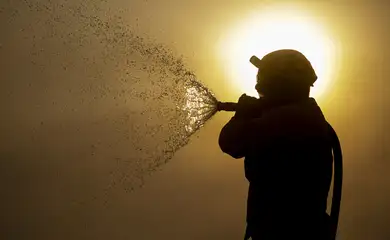 STF determina plano de combate a incêndios no Pantanal e na Amazônia