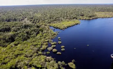 Criação do Museu das Amazônias é lançada em Belém