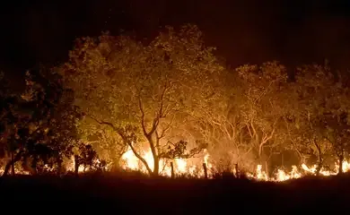 Roraima tem 45% do total de focos de queimadas do país em fevereiro