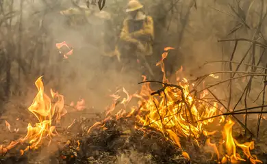 Governo destina R$ 137,6 milhões para combate a queimadas no Pantanal