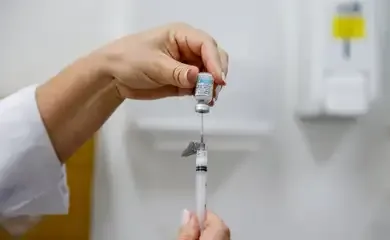Dengue: Brasil tem, em 6 meses, 6,1 milhões de casos e 4,2 mil mortes
