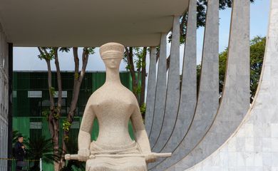 Plenário do STF decide não julgar pedido sobre trans em presídios