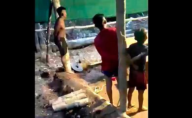 Entidades denunciam garimpeiros que teriam amarrado crianças yanomami