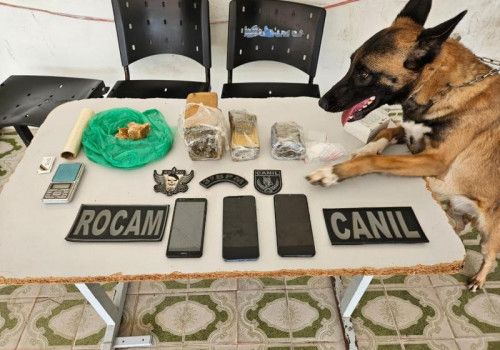 Polícia Militar flagra tráfico de drogas durante ações em Maragogi e Arapiraca