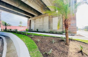 Alurb conclui obra de paisagismo no viaduto de Jacarecica