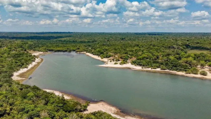 Presidente celebra menor índice de desmatamento em Unidades de Conservação na Amazônia desde 2008