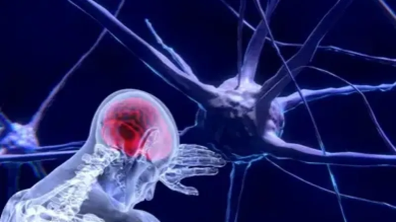 Unesco faz recomendação inédita para uso ético da neurotecnologia